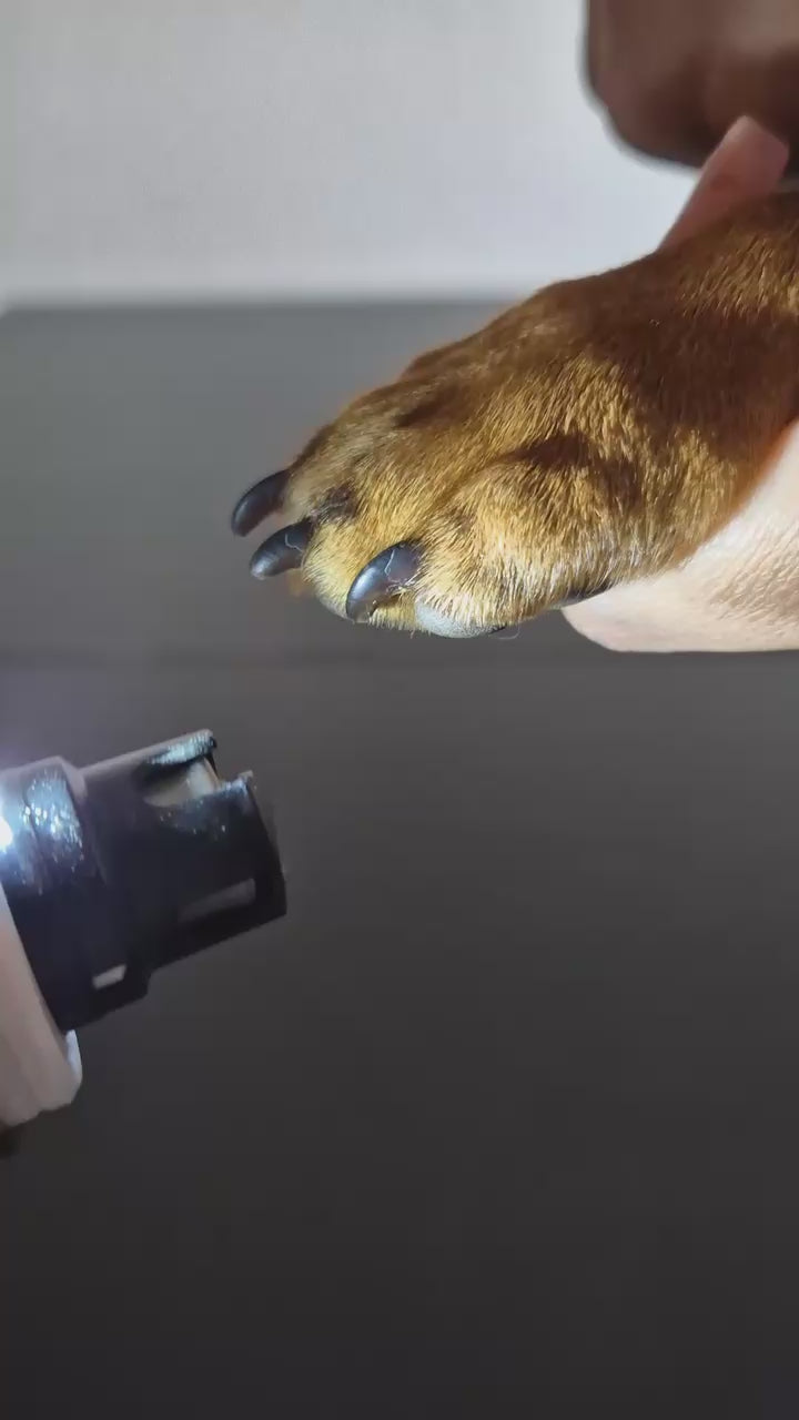 Load video: 
